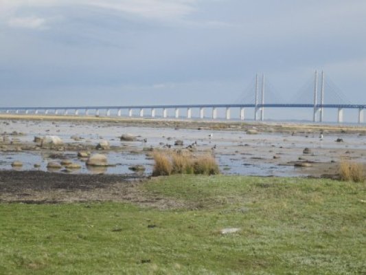 Natura 2000 în regiunea Sud-Est